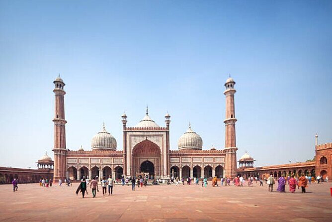 Delhi: City Sightseeing Private tour Half or Full-Day Option - Final Thoughts on the Delhi Private Sightseeing Tour