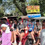 Delhi: City Tour of Old Delhi & New Delhi with Private Guide - What’s Included and What to Expect