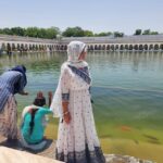 Delhi: Guided City Spirituality and Cultural Diversity Tour - Practical Aspects and What to Expect