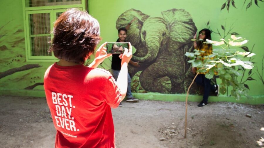 Delhi Hidden Gems Tour: Art, History & Heritage Parks - A Deep Dive into the Delhi Hidden Gems Tour