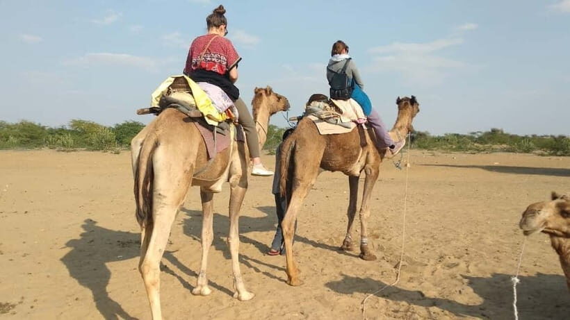 Delhi : One Day Sightseeing Tour - The Practical Side