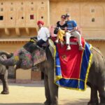 Delhi: Private Same day jaipur tour with Pickup & Drop. - The Itinerary Breakdown: What You Can Expect