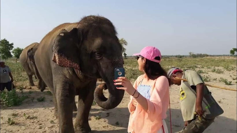 Delhi: Same Day Taj Mahal with Elephant SOS by Express Train - Who Should Consider This Tour?