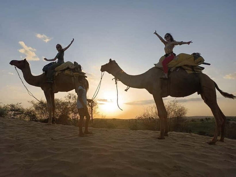 Desert Camel Safari Day Tour In Jodhpur - Detailed Breakdown of the Tour Experience