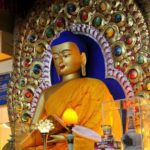 Dharamshala Full Day Tour - Who Will Love This Tour?