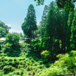 Discover Inner Peace at Fukoji Temple: Meditation Experience - The Value of This Tour