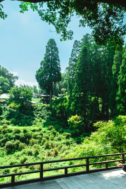 Discover Inner Peace at Fukoji Temple: Meditation Experience - The Value of This Tour
