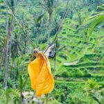 Discover The Best of Ubud: All-Inclusive and Private Guided Tour - What Makes This Tour Stand Out