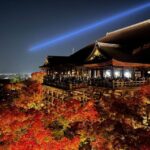 Discover the Highlights in Kyoto & Nara in 3 DAYS ! - Exploring Kyoto & Nara in 3 Days: A Detailed Review