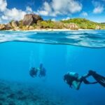 Discovery Scuba Diving & Snorkeling at Nha Trang Bay - Why This Tour Offers Great Value