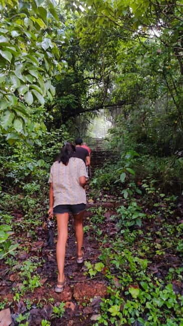 Divar Island Excursion with a Native Islander - Authenticity and Personal Touches