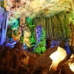 Dong Hoi: Explore Paradise Cave & Phong Nha Cave with Lunch - What Makes This Tour Stand Out?