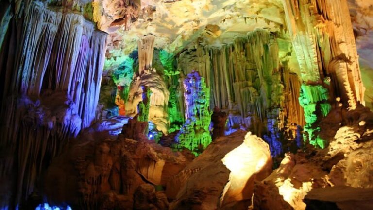 Dong Hoi: Explore Paradise Cave & Phong Nha Cave with Lunch - What Makes This Tour Stand Out?