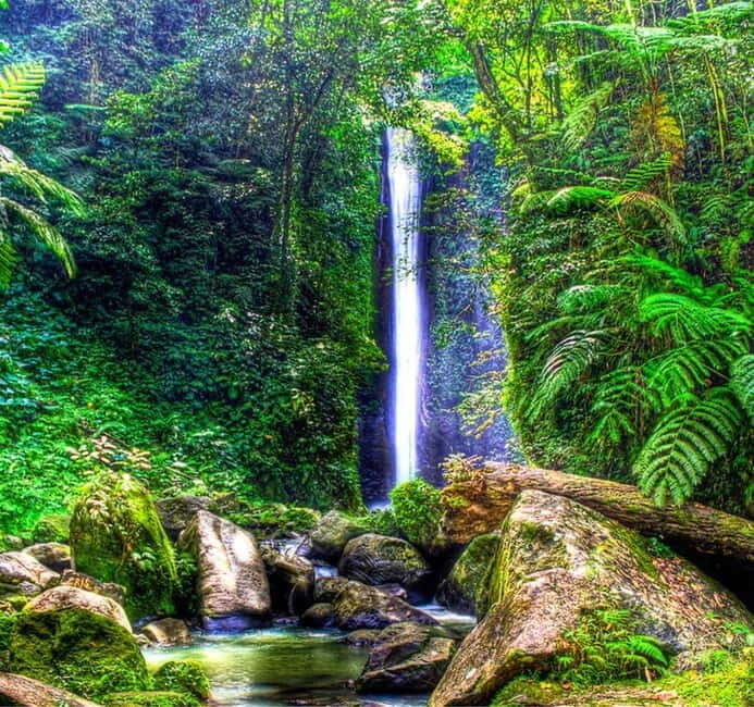 Dumaguete: Forest Camp and Casaroro Falls Day Trip - Who Is This Tour Best For?