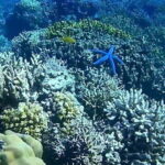 El Nido, Sibaltan: Private Snorkeling & Secret Islands Tour - FAQ