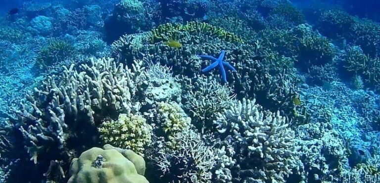 El Nido, Sibaltan: Private Snorkeling & Secret Islands Tour - FAQ