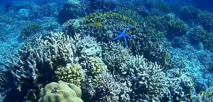 El Nido, Sibaltan: Private Snorkeling & Secret Islands Tour - FAQ