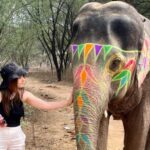 Elefun Best Elephant Sanctuary in Jaipur - An Honest Look at the Itinerary and Activities