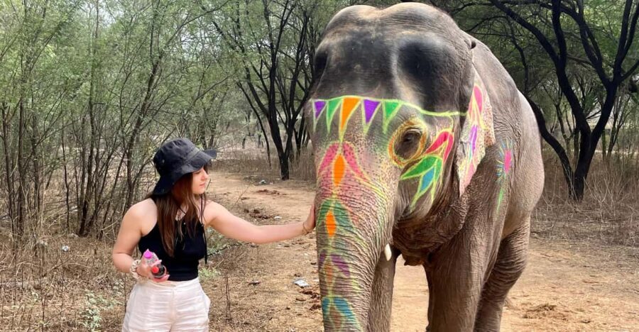 Elefun Best Elephant Sanctuary in Jaipur - An Honest Look at the Itinerary and Activities