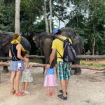 Elephant Sanctuary & Floating Village Private Tour - The Sum Up