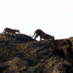 Ella: 1 Day tour to Badulla / Haputale / Mahiyanganaya - A Closer Look at the Itinerary and Experience