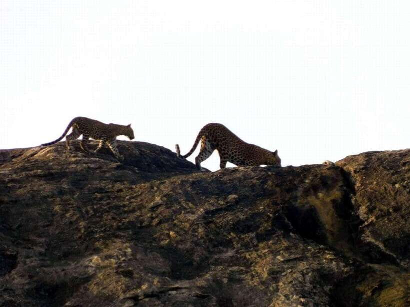 Ella: 1 Day tour to Badulla / Haputale / Mahiyanganaya - A Closer Look at the Itinerary and Experience