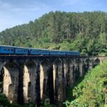 Ella:One Day Tour From Ella & Pickup From Tangalle/Mirisa/Colombo - The Real Experiences: Insights from Reviewers