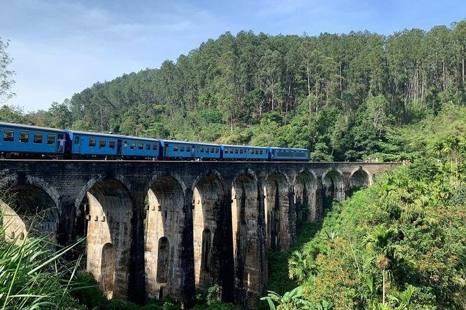 Ella:One Day Tour From Ella & Pickup From Tangalle/Mirisa/Colombo - The Real Experiences: Insights from Reviewers