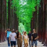 Eobi Ice Valley& Nami Island with Garden of Morning Calm Trip - Who Will Love This Tour?