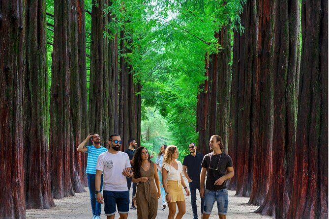 Eobi Ice Valley& Nami Island with Garden of Morning Calm Trip - Who Will Love This Tour?
