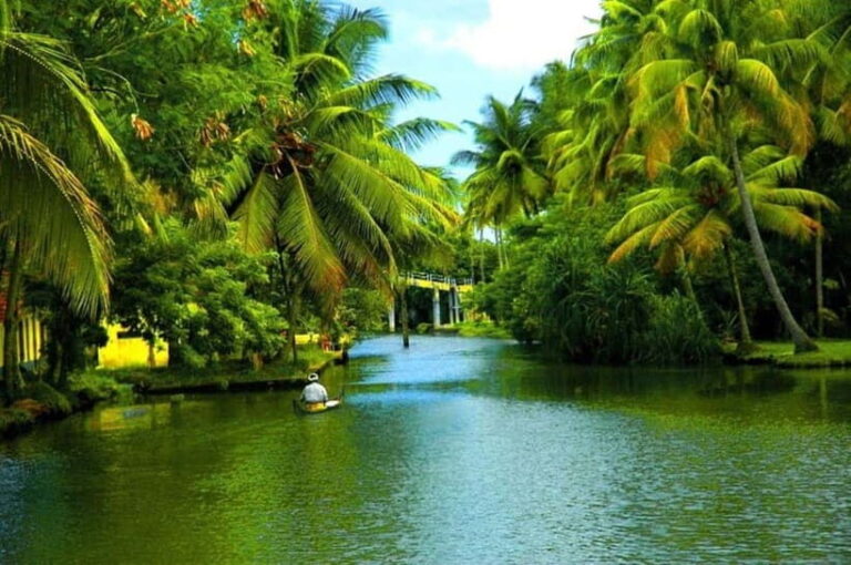 Exclusive, Backwater of Kerala & Houseboat Tour (06 Days) - Deep Dive: What Makes This Tour Stand Out?