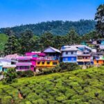 Exclusive Kerala Beauty, Munnar Hill Station Overnight Tour - What Travelers Can Expect