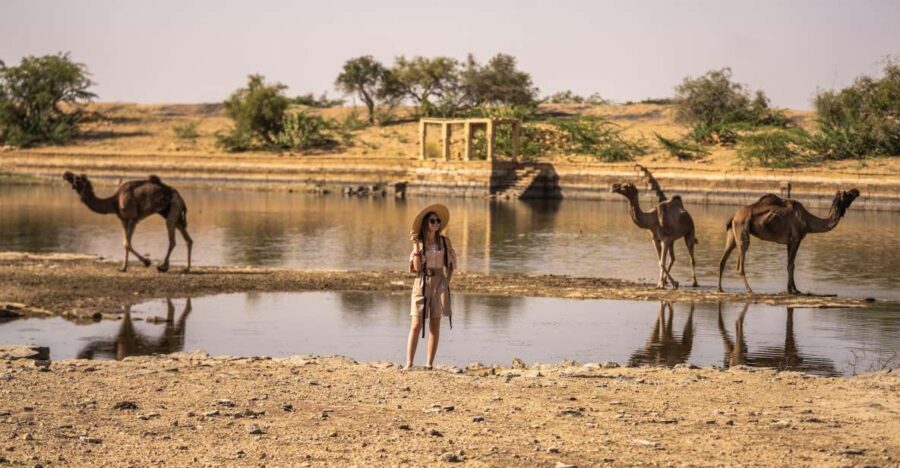 Exclusive Musical Evening at Desert Luxury Camp (NO CAMEL) - Why This Tour Stands Out