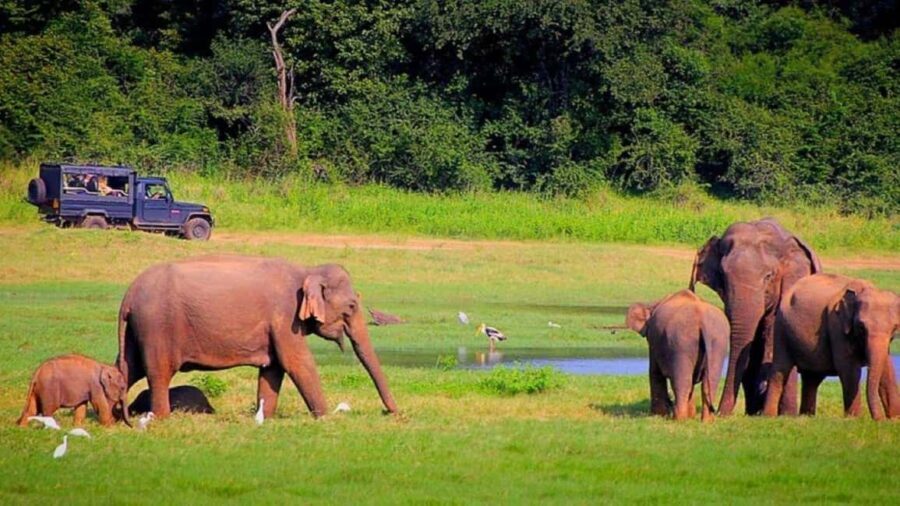 Exclusive, Periyar Wildlife Overnight Tour with Guide - Exploring the Itinerary in Detail
