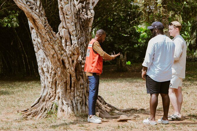 Explore Aburi Botanical Gardens And Boti Falls - In-Depth Look at Each Site