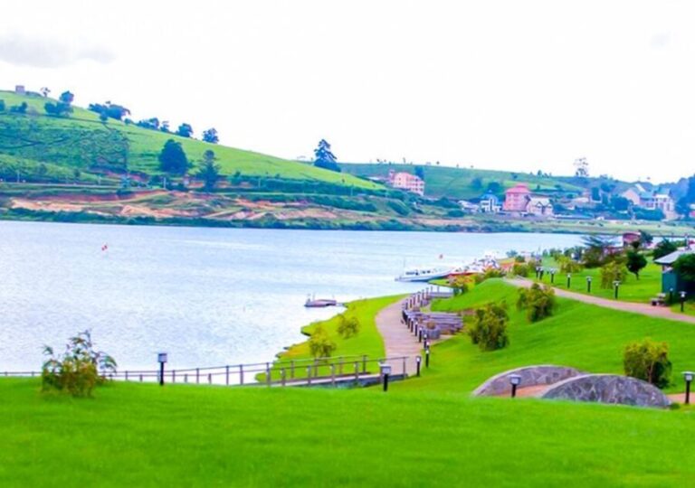 Explore Countryside of Nuwara Eliya by Tuk-Tuk - Why This Tour Works Well