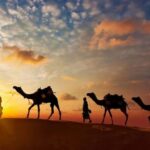 Explore Jaisalmer, Jodhpur & Udaipur in 7 Days - What the Tour Feels Like