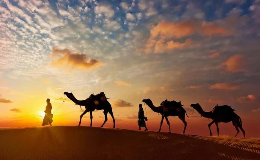 Explore Jaisalmer, Jodhpur & Udaipur in 7 Days - What the Tour Feels Like