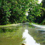 Explore Lung Ngoc Hoang in Hau Giang - Practical Details and What to Expect