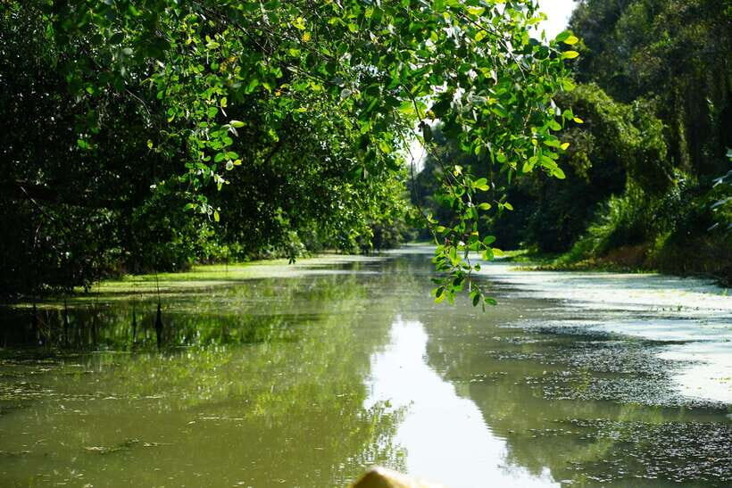 Explore Lung Ngoc Hoang in Hau Giang - Practical Details and What to Expect