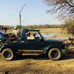 From Agra: 2 Days 1 Night Ranthambore Tiger Safari Tour - The Value: Why It’s Worth Your Money