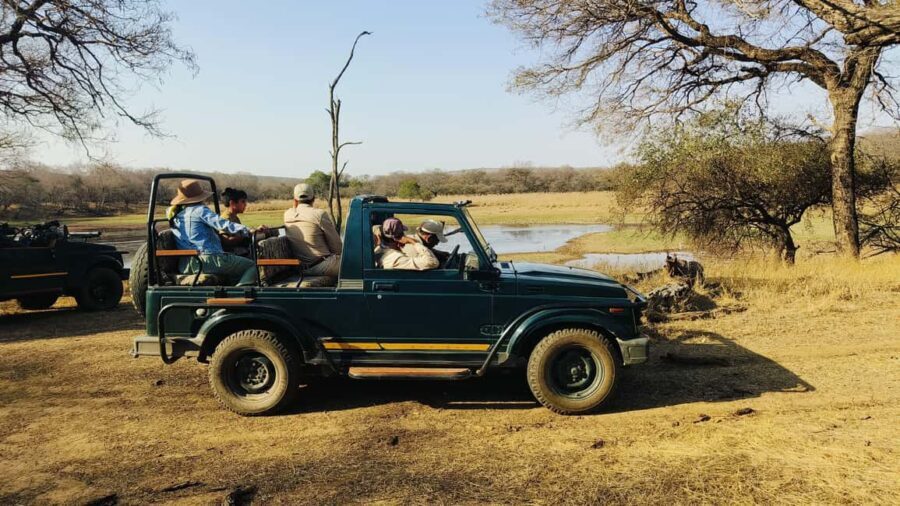 From Agra: 2 Days 1 Night Ranthambore Tiger Safari Tour - The Value: Why It’s Worth Your Money