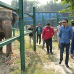 From Agra: Visit to Wildlife SOS Elephant Conservation Trip - Observing and Interacting with the Elephants