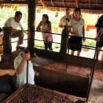 From Ba Ria, Vung Tau : Nui Dat, Long Tan, Long Phuoc tour - What Makes the Tour Stand Out?