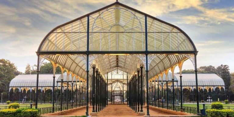 From Bangalore: Bannerghatta Park & City Sights Private Tour - Authentic Insights & Review Highlights