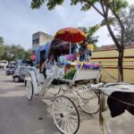 From Bangalore : Mysore Sightseeing full day tour - An In-Depth Look at the Mysore Full-Day Tour