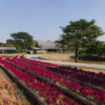 From Bangkok: Ayutthaya Temples & Gallery Boathouse Tour - Why This Tour Stands Out