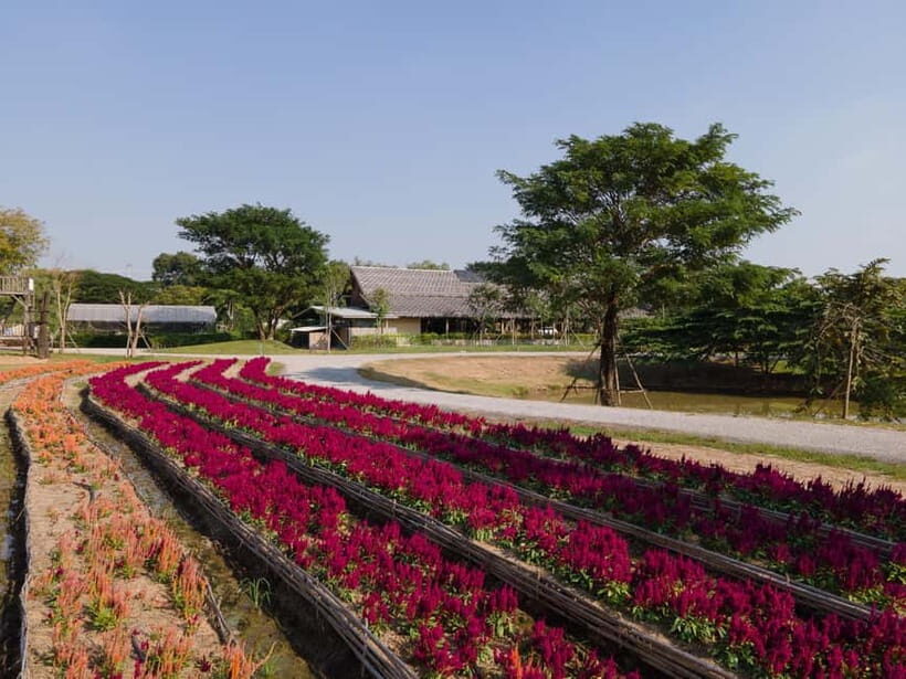 From Bangkok: Ayutthaya Temples & Gallery Boathouse Tour - Why This Tour Stands Out