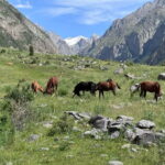 From Bishkek : Sokuluk Gorge & Belogorka Waterfall (One Day) - An In-Depth Look at the Experience