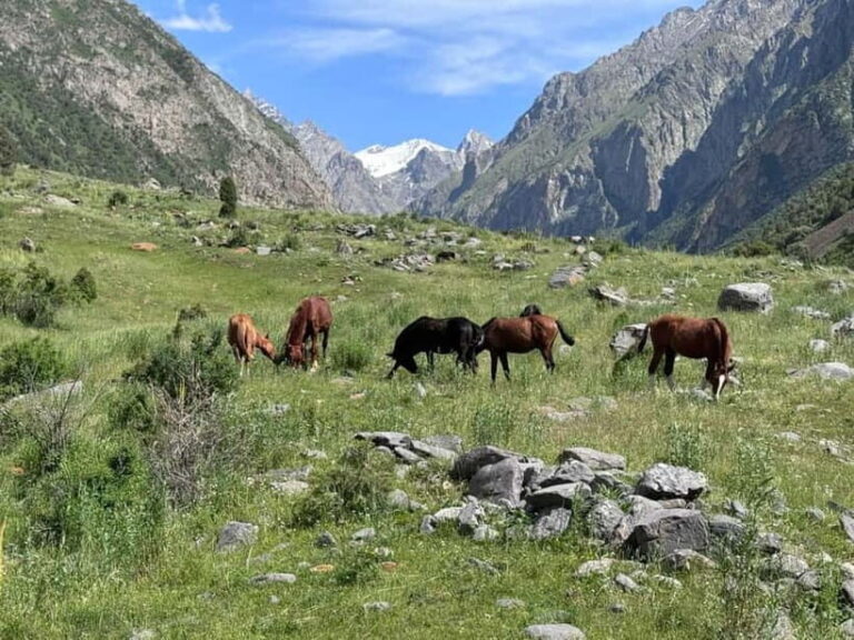 From Bishkek : Sokuluk Gorge & Belogorka Waterfall (One Day) - An In-Depth Look at the Experience